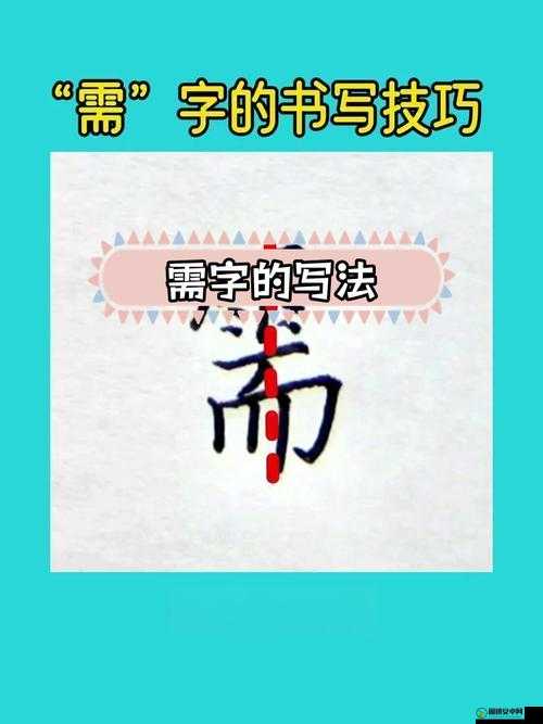 2019 中文字需大全规范更新：重要意义与实际应用探讨